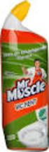 : Mr Muscle WC Rent Fresh