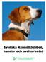 Svenska Kennelklubben, hundar och avelsarbetet
