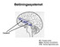 Belöningssystemet! Dopamin. FC! NAcc! VTA! FC: Frontal cortex! NAcc: Nucleus accumbens! VTA: Ventral tegmental area!