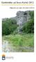Gaddsteklar på Stora Karlsö Rapporter om natur och miljö nr 2013:2