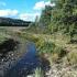 NATURRESERVAT I UPPSALA LÄN HÅGADALEN- NÅSTEN
