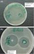 Comparison between two different cryoprotectants for human sperm, with emphasis on survival
