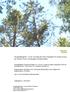 Skogsfastighet i Tuna, Sundsvall med möjlighet till avstyckning av tomter inom Orrbergets fritidsområde