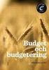 EXAMENSARBETE. Budgetlösstyrning
