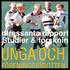 Medlem i en kampsportsförening (Budo+ Judo+ Taekwondo+ Karate) utifrån socioekonomisk status