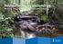 Restaurering av vattendrag Manuell restaurering i mindre skogsvattendrag