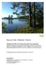 Skog vid Vinäs / Kättbosjön i Dalarna