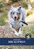 Gäller från till Regler för BPH. Beteende- och personlighetsbeskrivning hund, BPH SVENSKA KENNELKLUBBEN