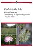 Gaddsteklar från Listerlandet