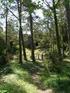 Länsstyrelsen GOTLANDS LÄN. Bildande av naturreservatet Grogarnsberget, Östergarns socken, Gotlands kommun