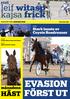 EVASION. leif witasp kajsa frick FÖRST UT. månadens HÄST. Stark insats av Coyote Roadrunner. stall RAPPORT FÖR JANUARI 2016 ÅRGÅNG 12