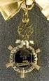 Neptuni Ordens policy för bärande av medaljer inom Orden