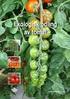 Växtnäringsutnyttjande i ekologisk tomatodling