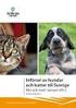 Parodontit på hund och katt med fokus på profylax