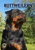 Hund Förare Poäng. Kerstin Hellberg Tollarps BK. Susanne Svensson Tollarps BK. Jannice Lundh Växjö BK. Annette Bengtsson Älmhult BHK