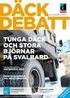 Pilotstudie av däckens mönsterdjup och andel vintermönster på tunga fordon i januari februari 2012