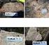 Berggrundsgeologisk undersökning, 25H Arjeplog, Projekt Barents