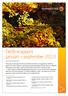 Delårsrapport januari september 2013