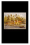 Skärgård. Register Medlemsblad för Föreningen Skärgårdsmuseet. Orts- och ämnesregister Skärgård nr 1-91