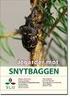 Test av mekaniska plantskydd och insekticider mot snytbaggar, anlagt våren 2009 Slutrapport