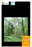 Skams hål. Bevarandeplan för Natura 2000-område. Områdeskod SE Bevarandeplanen reviderad/fastställd
