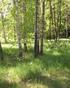 ÖVERSIKTLIG NATURVÄRDESINVENTERING