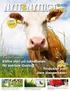 Närproducerat foder till högproducerande mjölkkor