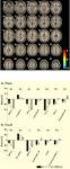 Thalamus Networks AB (publ)