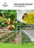 Biodiversitet i grönsaks- och bärodling