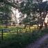 VILHELMINA KOMMUN PROTOKOLL 1(120) Kommunstyrelsen