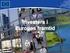 ÅRSRAPPORT SITUATIONEN PÅ NARKOTIKAOMRÅDET I EUROPEISKA UNIONEN OCH NORGE ISSN