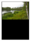 Naturvärdesinventering Ånhammar 2013