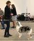 Grupp 1 AUSTRALIAN SHEPHERD Nordisk Kennel Union