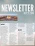 + + + newsletter + + +