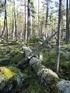 Granskning av Holmen Skogs naturvårdsavsättningar av Patrik Nygren 2004