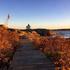 Beslut om utvidgat strandskydd i Öckerö kommun