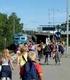 Riktlinjer för skolskjuts i Haninge kommun