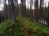 BILDANDE AV Stor-Lomsjömyran-Björkbäcksmyrans naturreservat
