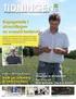Klöver i ensilage till suggor - effekter på reproduktion och produktivitet