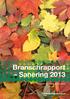 Branschrapport Sanering 2013