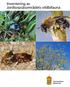 Inventering av Jordtorpsåsområdets vildbifauna