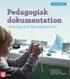 Pedagogisk dokumentation som verktyg för utveckling i förskolan