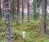 Tillståndet i skogsmiljön i Södermanlands län