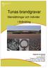 Tunas brandgravar. Stensättningar och individer i förändring. Högskolan på 2011/VT. Gotland. Högskolan på Gotland. Handledare: Alexander Andreeff