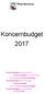 Koncernbudget koncernbudget koncernbudget koncernbudget. koncernbudget