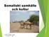 Somaliskt samhälle och kultur. Foto: Harbi Amir