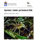 Spindlar i rikkärr på Gotland 2006