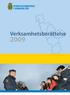 Verksamhetsberättelse 2009