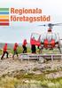 Regionala företagsstöd