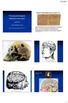Neuropsykologins historia och teori